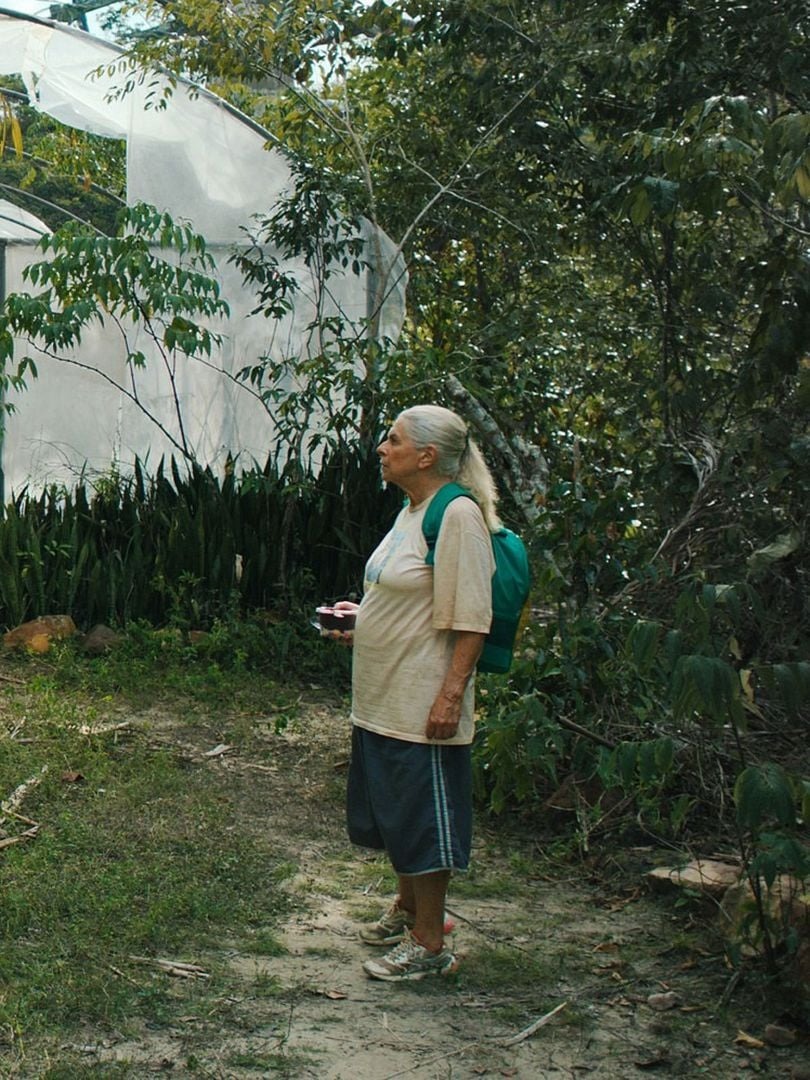 Les Voyages de Tereza